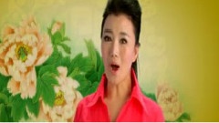 老爸老媽