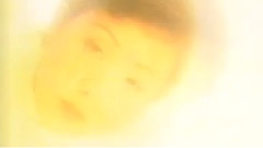流浪花