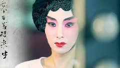 不惹紅塵