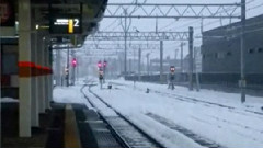 なごり雪 飯制版