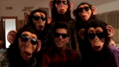The Lazy Song