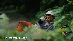 映畫