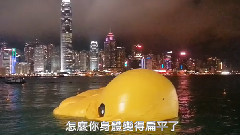 鴨真的受傷了