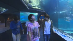 釜山游記未公開視頻 Part4 X- FILE 水族館篇 13/03/09
