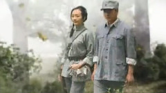 妹妹找哥淚花流