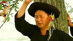 民樂群星 - 陽春三月好風光