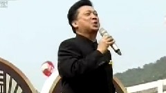 小白楊