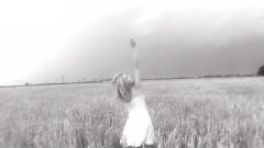 Fields Of Gold