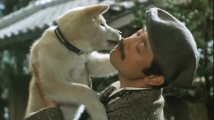 ハチ公物語