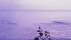 民樂群星 - 好人一生平安 中胡獨奏