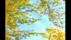 民樂群星 - 婚誓