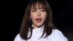 上海拼盤