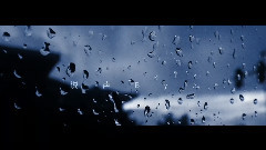 洛天依 - 傘中雨