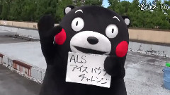 くまモン 冰桶挑戰