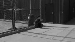 下跪