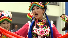 民樂群星 - 手牽手