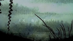 Nico - 螢 (向日葵)