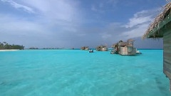 貝殼里的心事-夏