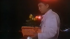 只因我太癡