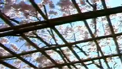 民樂群星 - 陽關三疊 古箏曲