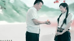 做牛做馬