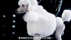 我最紅