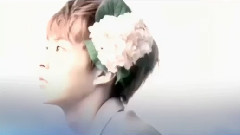 亞洲巡回演唱會后援