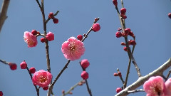 無限水