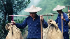 壺鎮