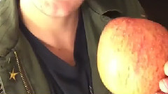Ash與蘋果的小故事