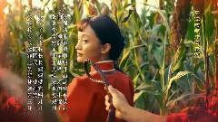 九兒 電視劇<紅高粱>片尾剪輯