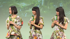ボタニカル柄衣裝に 