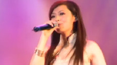 紀念鄧麗君廣州演唱會