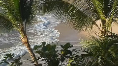 大自然風光之海浪之聲