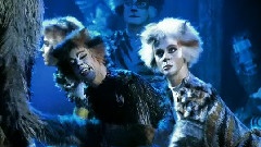 Cats(貓)