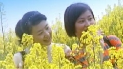 情懷岳陽