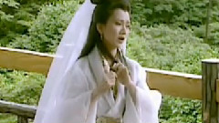 美景如畫映樓臺
