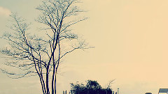 Nico - ピアノ?レッスン (雪見xまちすけ)