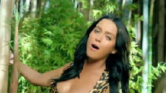 Katy Perry - Roar