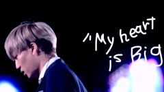 仁川韓流演唱會