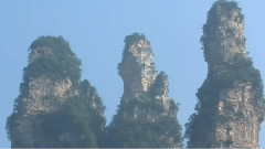 蝶兒蝶兒滿天飛