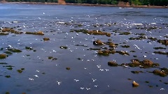 一個愛上浪漫的人