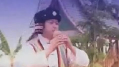 多情的巴烏