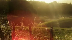 越南鼓電音 House