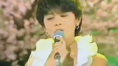 春風の誘惑 現場合集
