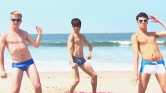 California Gays 惡搞版
