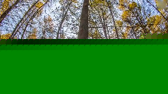 呼倫貝爾延時攝影:北國之秋