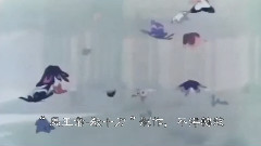 初戀的地方