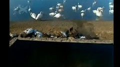民樂群星 - 可不可以不勇敢