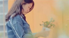 My Dear(副題:花)